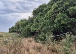 Nalez kostrovych pozostatkov v obci Velke Ripnany vysetruju ako vrazdu