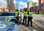 Lev usiel z klietky a zranil osetrovatela
