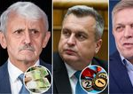 Politika plna slubov Preco nemame dvojnasobne platy