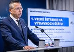 Kamenicke sachy s DPH prinesu absurdity Zdravsie potraviny budu mat vyssiu dan ako nezdrave