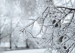 Vo Viglasti Pstrusi rano minus 25 6 stupna najmenej za 5 rokov