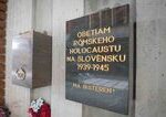 Robert Dobrovodsky varuje pred opakovanim historie Romov