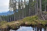 Ochrutari objavili nove pliesko v Nizkych Tatrach na mieste kde sa buduje zjazdovka