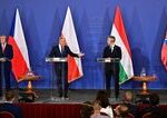 V4 je podivne spoloenstvo Strednu Europu nespajaju uspechy ale zlyhania komentar Borisa Zalu