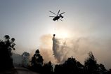 Holandski hasicii zasahuju pri poziari lesa v chranenych prirodnych oblastiach