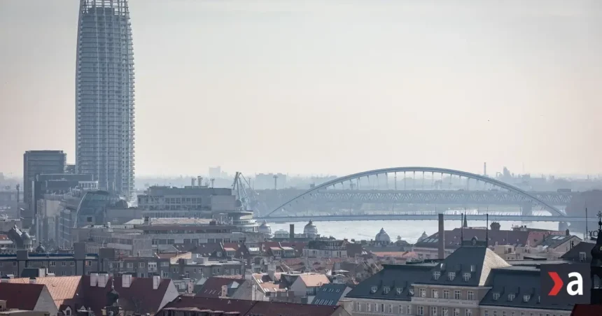 Dotácie na „fiktívne ovce“, nová cesta na Kráľovu hoľu aj Salamandrový sprievod