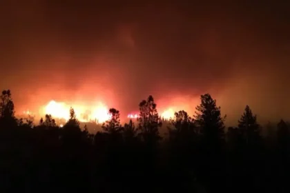 Požiar na Brači zachvátil desať percent ostrova, evakuovaných vyše 700 ľudí