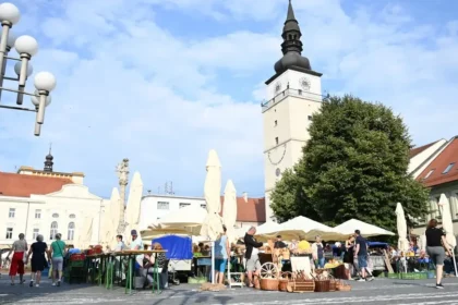 Ako bude vyzerať zastupiteľstvo Trnavského kraja? Pozrite si kompletné výsledky
