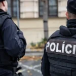 Bratislavčan čelí obvineniu za kruté zabitie psa po hádke s partnerkou
