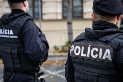 Bratislavčan čelí obvineniu za kruté zabitie psa po hádke s partnerkou