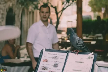 Chorvátske podniky budú musieť od októbra zobrazovať dve ceny