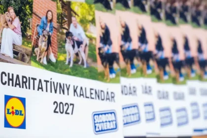 Lidl a Sloboda zvierat spúšťajú nové dlhodobé partnerstvo