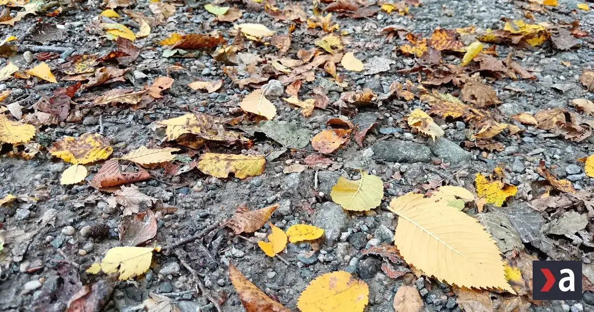 Na východe Slovenska hrozia v nedeľu zrážky, sever zas čaká ochladenie
