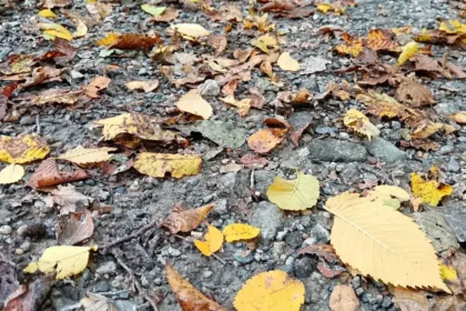 Ochladenie ukončí letné teploty, ktoré tento týždeň pripomínali leto