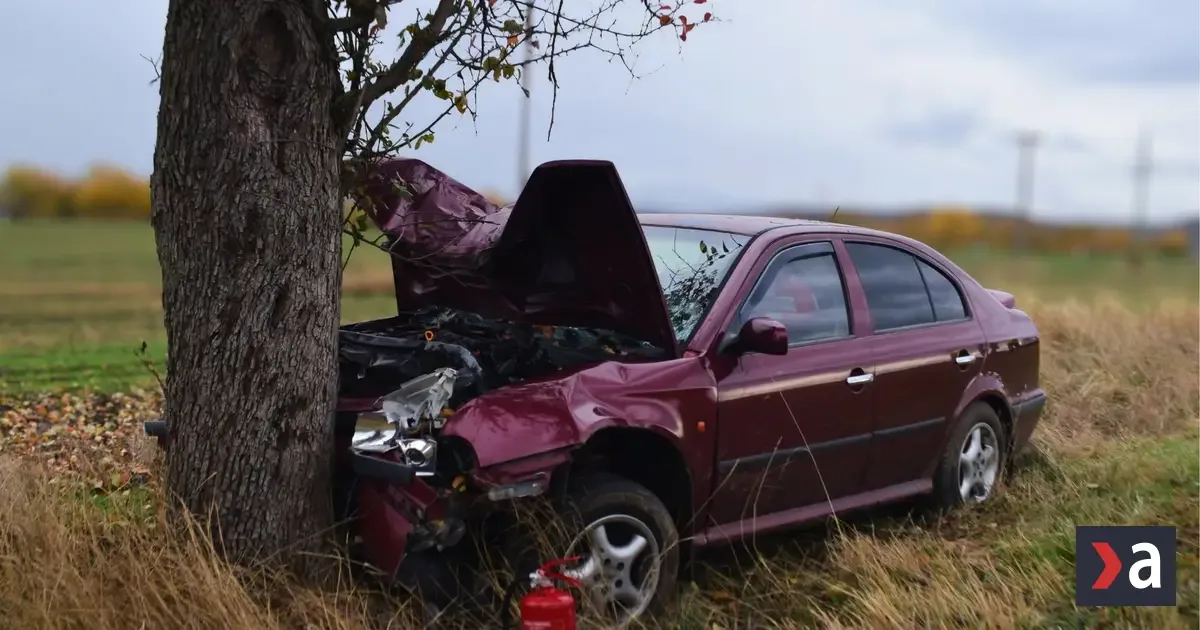 Opitý šofér s 2,5 promile narazil do stromu, prišiel o vodičák