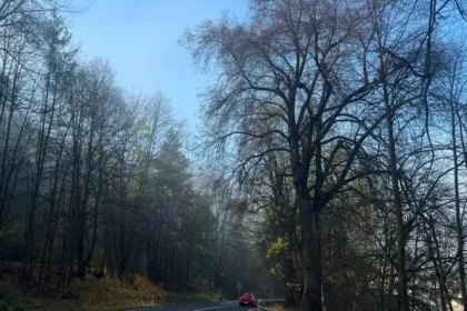 Pokojná, no chladná jesenná noc, v údoliach môže mrznúť