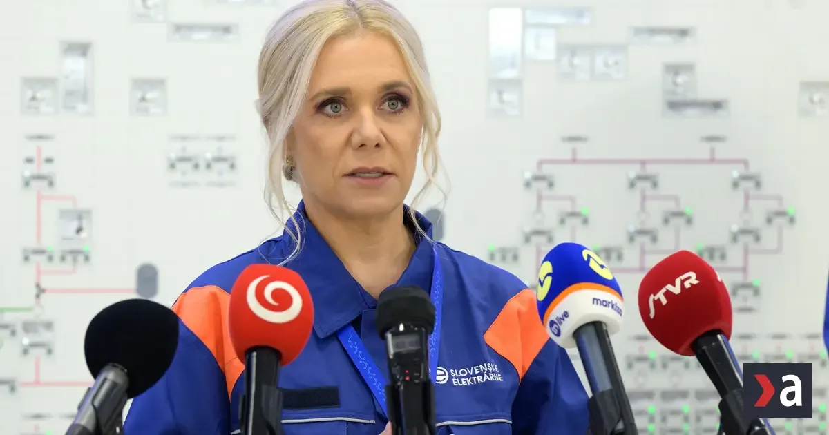 Štát rokuje o lacnejšej elektrine pre domácnosti v roku 2027