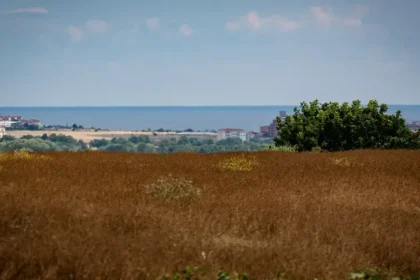 V nedeľu sa od západu zatiahne, miestami zaprší, na horách hrozí víchrica
